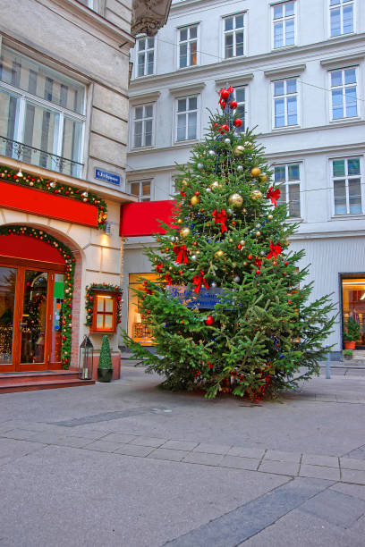 istock Christmas tree at downtown of Vienna in Austria 900922208