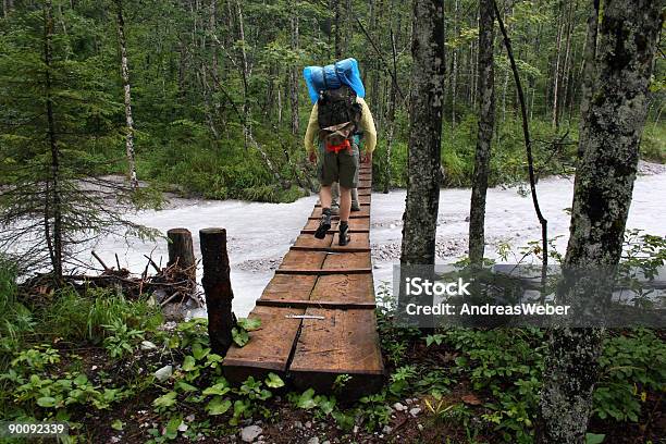 Foto de Berchtesgadener Alpen Nahe Königssee 2 Wanderer Überqueren Eisbach e mais fotos de stock de Berchtesgadener Land