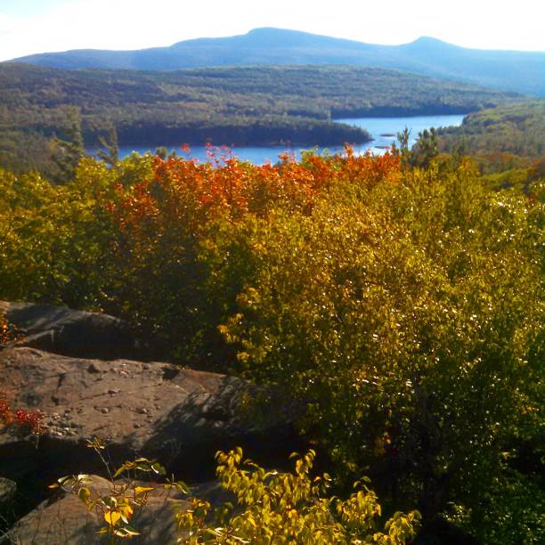 istock Autumn view over the lake 900925620