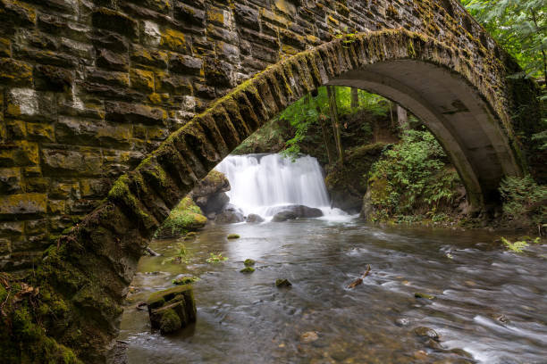 istock Under the waterfall in Whatcom Falls Park in Bellingham Washington State 900925958