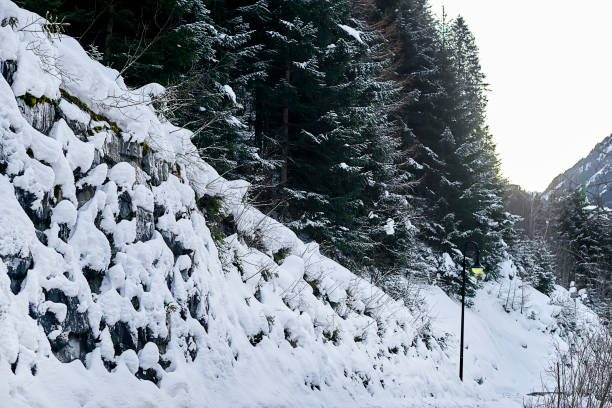 Winter forest covered by fresh white snow, Tyrol Alps