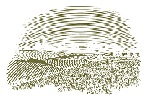 Woodcut illustration of a rural countryside scene with fields of crops in the background.