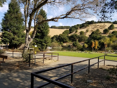 Castro Valley, California, United States - October 16, 2017:  Photograph taken at Lake Chabot Regional Park, a park in Castro Valley, California, October 16, 2017