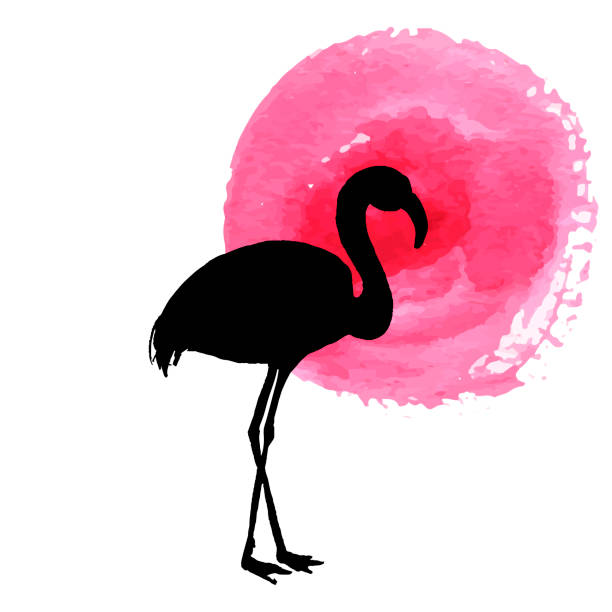 illustrations, cliparts, dessins animés et icônes de flamant rose dans la silhouette de l’herbe - heron blue heron bird swamp