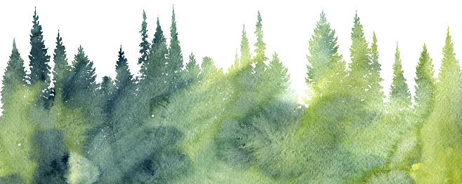 watercolor landscape with pine and fir trees, abstract nature background, forest template, hand drawn illustration