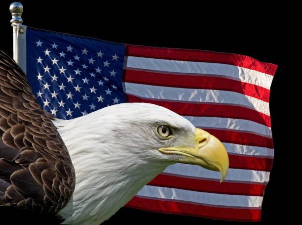 istock American Symbols 900937396