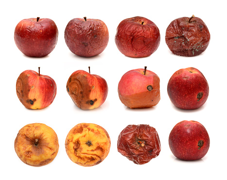 Big set of different rotten apples isolated on white background.