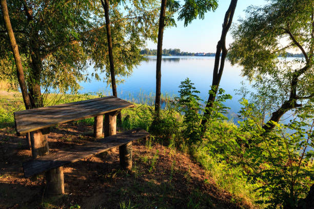 istock Camping pitch on summer lake calm beach. 900938476