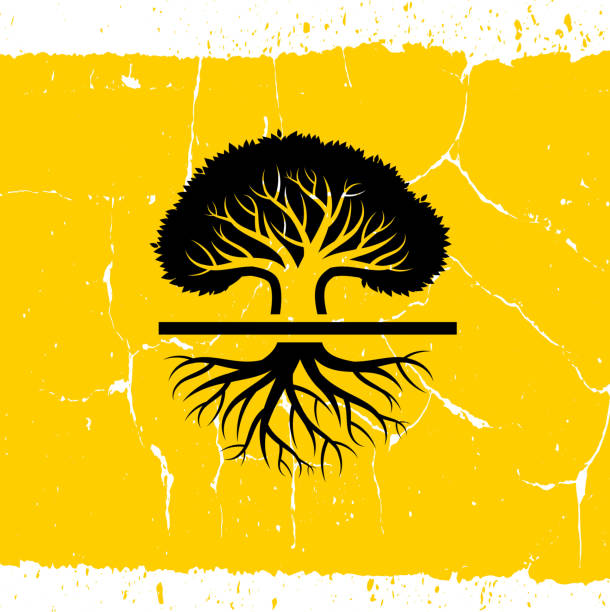 Large old oak tree. Large old oak tree.The main icon is placed on a yellow grunge background. The black icon takes up the center portion of the composition and is the main focus of this vector illustration. The icon is simple and elegant the background is detailed with cracks and specs of noise. The illustration is a 100% royalty free vector. old oak tree stock illustrations