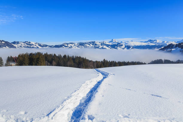 Wintertime view in the Swiss Alps