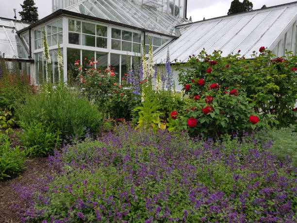 istock Dunelin Botanic Garden 900950636