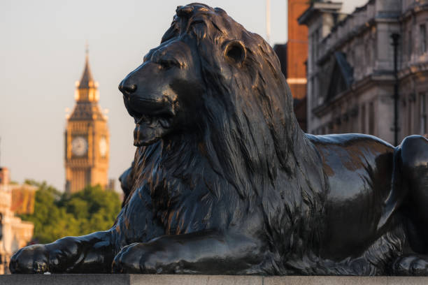 londra - lion statue london england trafalgar square foto e immagini stock