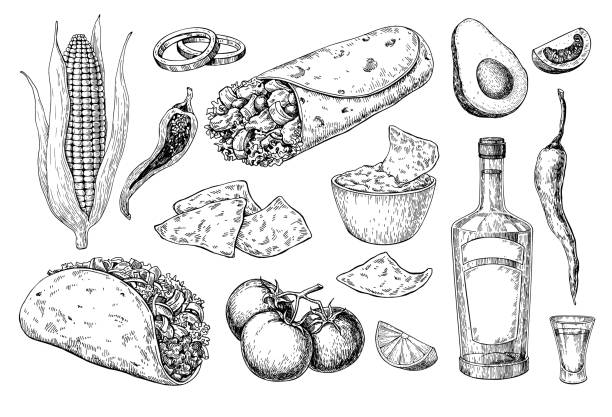 멕시코 요리 그리기입니다. 전통 음식 및 음료 벡터 일러스트 레이 션 - tequila shot glass glass tequila shot stock illustrations