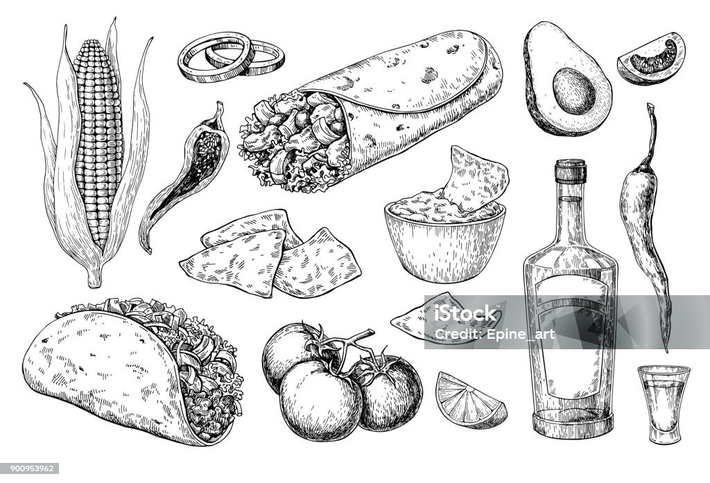 Mexican cuisines drawing. Traditional food and drink vector illustration Mexican cuisines drawing. Traditional food and drink vector illustration. Engraved taco, burrito, nachos and tequila bottle, shot. Hand drawn set. Sketch for restaurant menu, label, banner Taco stock vector