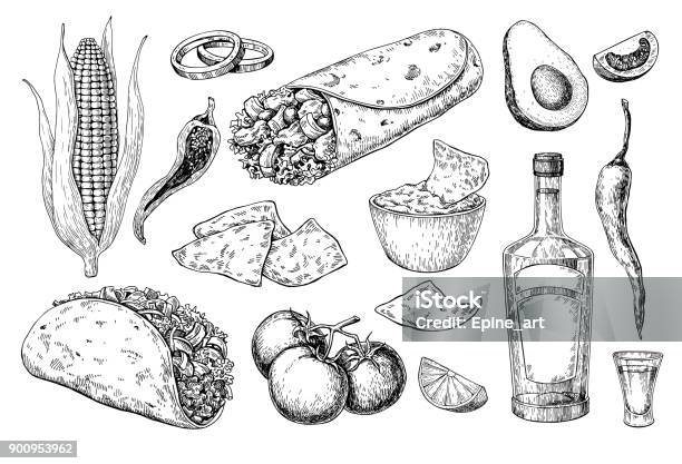 Mexican Cuisines Drawing Traditional Food And Drink Vector Illustration Stock Illustration - Download Image Now