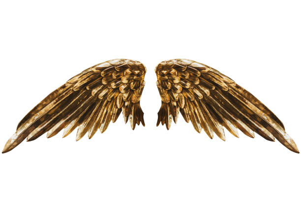 Golden Wings Stock Photo - Download Image Now - Animal Wing, Gold - Metal,  Angel - iStock