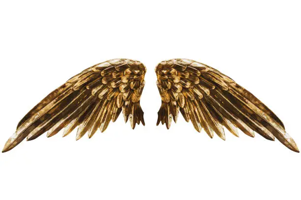 Photo of Golden wings