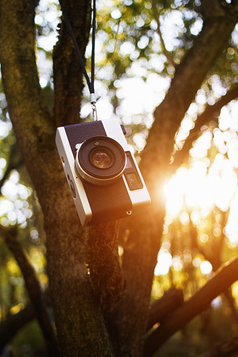 Vintage rangefinder film camera hanging on a tree branch
