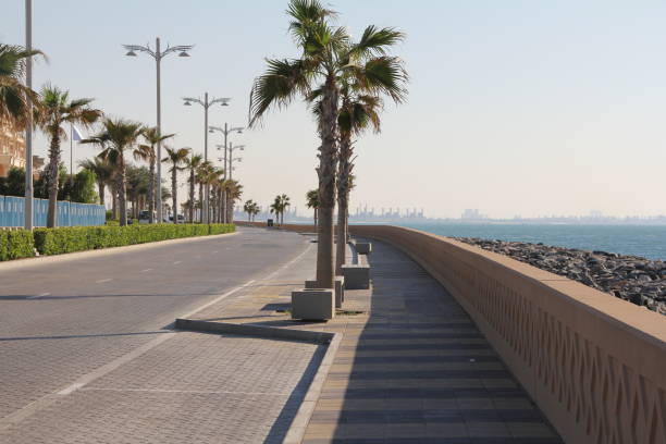 istock A road along with sea and Palm trees 900955246