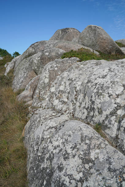 landschaft von galizien, spanien, europa - bioreserve vertical spain europe stock-fotos und bilder