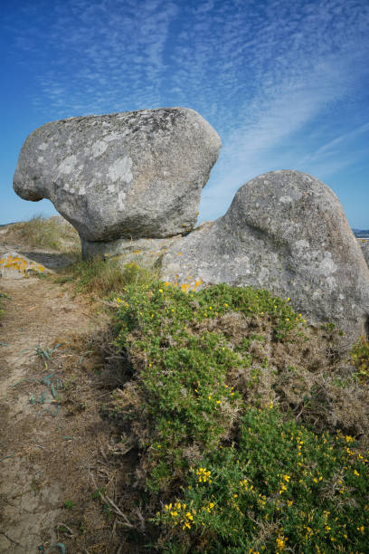 landschaft von galizien, spanien, europa - bioreserve vertical spain europe stock-fotos und bilder