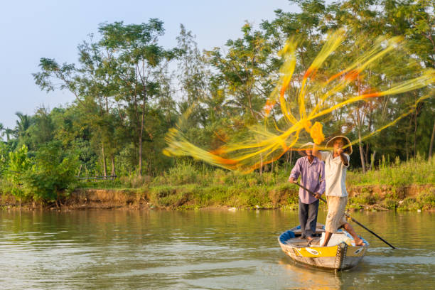 Fisherman throwing his net on the Thu Bon river near Hoi An in Vietnam Hoi An, Vietnam - October 2014 - Fisherman throwing his net on the Thu Bon river near Hoi An in Vietnam thu bon river stock pictures, royalty-free photos & images