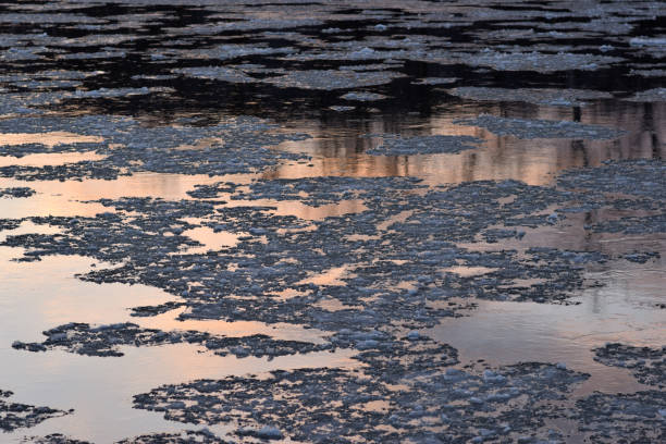 istock Ice Floes in the River at Dawn 900962162