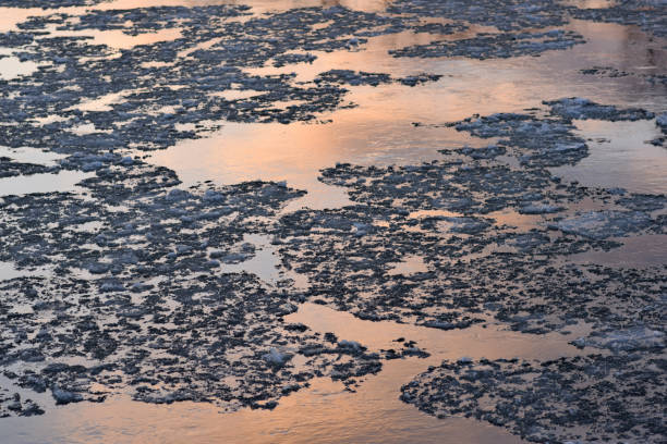 istock Ice Floes in the River at Dawn 900962224