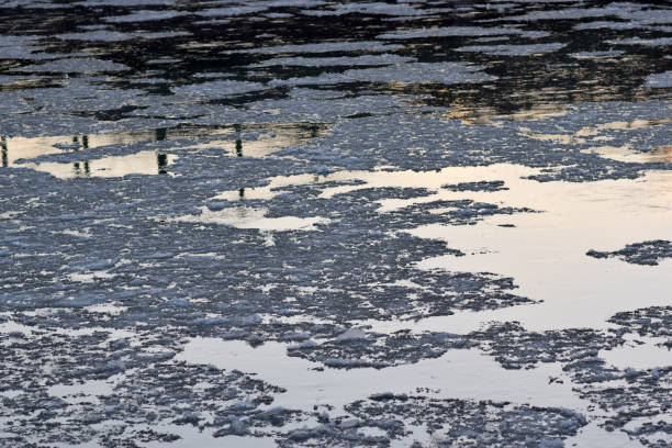 istock Ice Floes in the River at Dawn 900962226