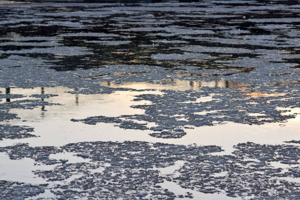 istock Ice Floes in the River at Dawn 900962228