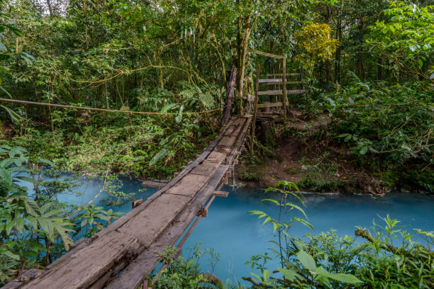 熱帯雨林の川に架かる歩道橋 - rickety ストックフォトと画像