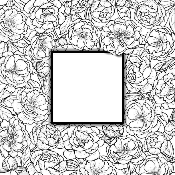 Squared Frame with Peonies Squared frame with peony flowers and leaves. Floral romantic black and white template with nature background for greeting cards, invitations, postcards, coloring pages and covers with text place. coloring book cover stock illustrations