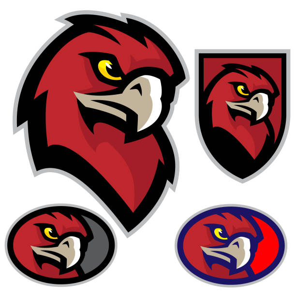 Hawk Head Mascot A sporty hawk mascot head, great for any sport or team based design. mascot stock illustrations