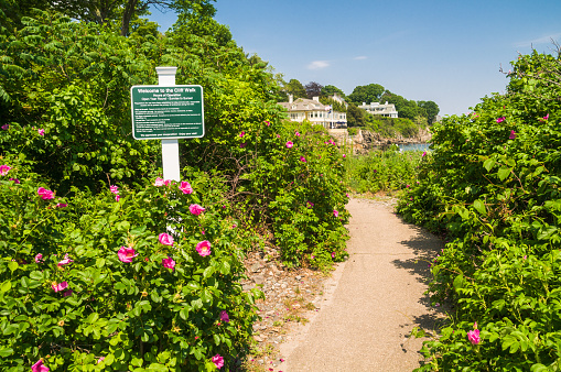 York, Maine, USA-June 12, 2017- Roses surround the entrance to the one mile long Cliff Walk in York, Maine. This hike is both very dangerous and beautiful.