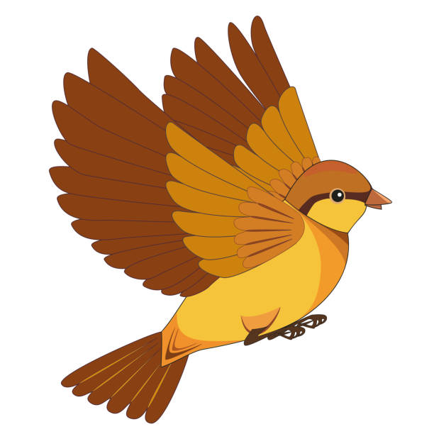 stockillustraties, clipart, cartoons en iconen met vliegende vogel cartoon geïsoleerd op een witte achtergrond - house sparrow