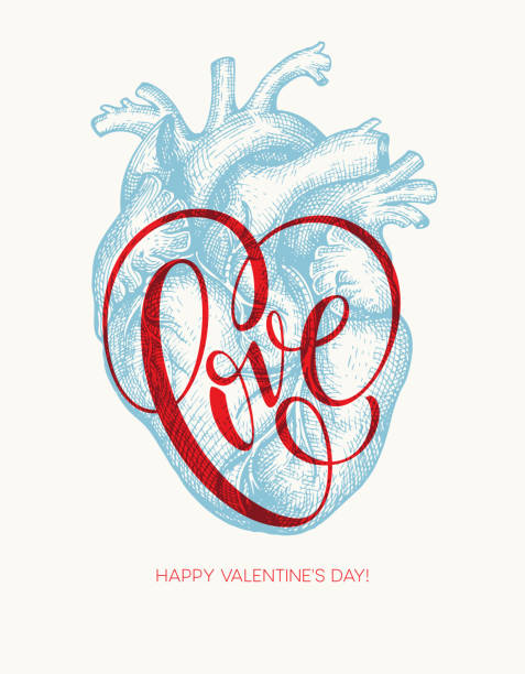 ilustraciones, imágenes clip art, dibujos animados e iconos de stock de tarjeta día de san valentín con corazón humano y letras de amor. ilustración de vector - valentine card valentines day old fashioned pattern