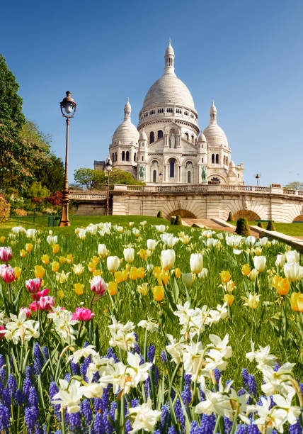 Coronation Heart Cathedral Sacre Coeur Cathedral in spring montmartre stock pictures, royalty-free photos & images