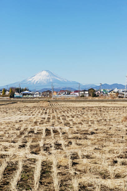 istock Mount Fuji from Chigasaki-shi 901017130