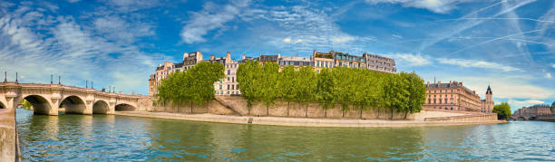 istock Panoramic image of Ile de la Cite in Spring 901022566