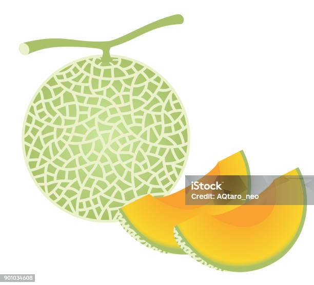 Fresh Melon Isolated On White Background Stock Illustration - Download Image Now - Melon, Illustration, Yubari City