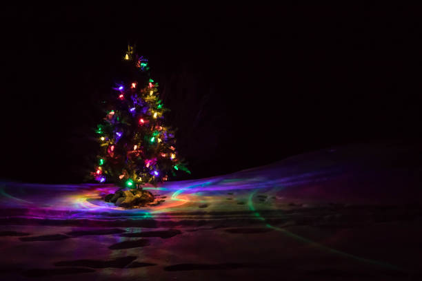A small Christmas tree with large antique lights illuminating the snow in Wisconsin