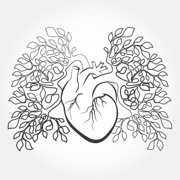 illustrations, cliparts, dessins animés et icônes de cœur de l’homme et les poumons comme une branche d’arbre - human lung ideas healthcare and medicine flower