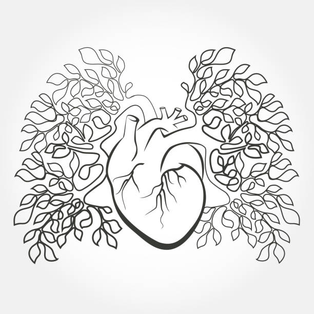 人間の心と木の枝のように肺 - human lung ideas healthcare and medicine flower点のイラスト素材／クリップアート素材／マンガ素材／アイコン素材