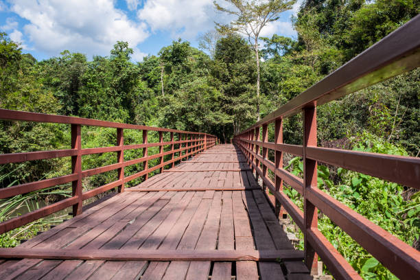 istock wooden bridge over river leading to forest and sky background 901042122
