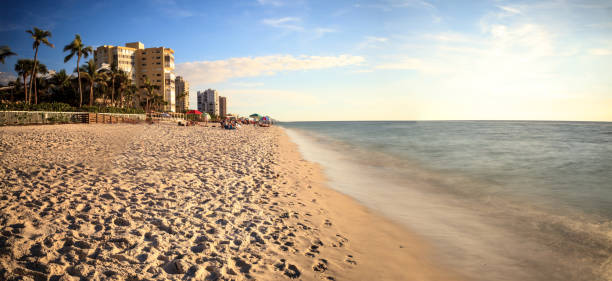 istock White sand and palm trees along Vanderbilt Beach 901043018