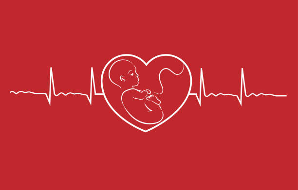 illustrazioni stock, clip art, cartoni animati e icone di tendenza di vettore di design lineare baby on heart concept. grafico del battito cardiaco di una donna incinta. - fetus