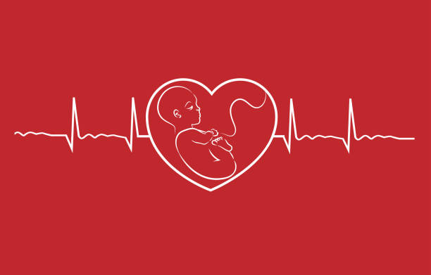 Baby on heart concept linear design vector. Heart beat graph of a pregnant woman. Baby on heart concept linear design vector. Heart beat graph of a pregnant woman. taking pulse stock illustrations