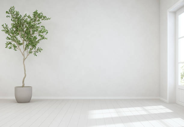 plante d’intérieur sur plancher en bois avec fond de mur en béton blanc vide, arbre près de la porte dans un salon lumineux de maison scandinave moderne - non meublé photos et images de collection