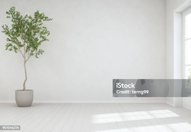 Indoor Plant On Wooden Floor With Empty White Concrete Wall Background Tree Near Door In Bright Living Room Of Modern Scandinavian House Stock Photo - Download Image Now