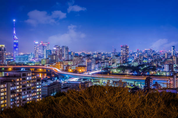Fukuoka Night Cityscape, Early Spring Night view of Fukuoka City in early spring featuring Fukuoka Tower, Momochi, Ohori Park, the Muromi River and the urban expressway fukuoka city stock pictures, royalty-free photos & images